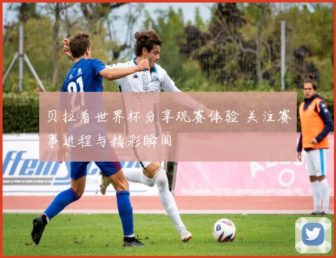 贝拉看世界杯分享观赛体验 关注赛事进程与精彩瞬间