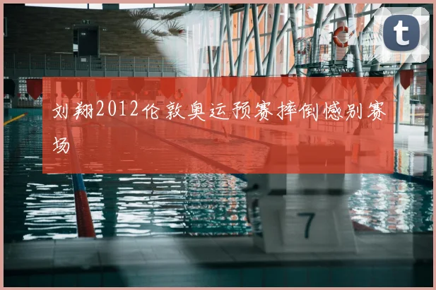 刘翔2012伦敦奥运预赛摔倒憾别赛场