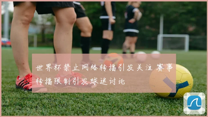 世界杯禁止网络转播引发关注 赛事转播限制引发球迷讨论